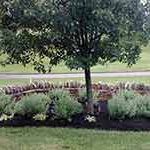 Hardscaping Services Columbus