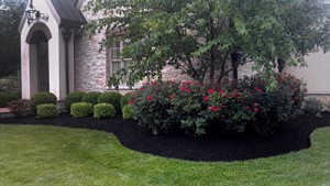 Landscapers Columbus Ohio