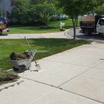 Lawn Care and Maintenance Services
