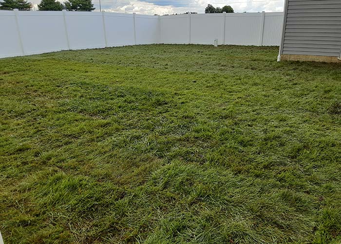 sodinstallationinpataskalaohio_140652 Wilson's Landscaping Services