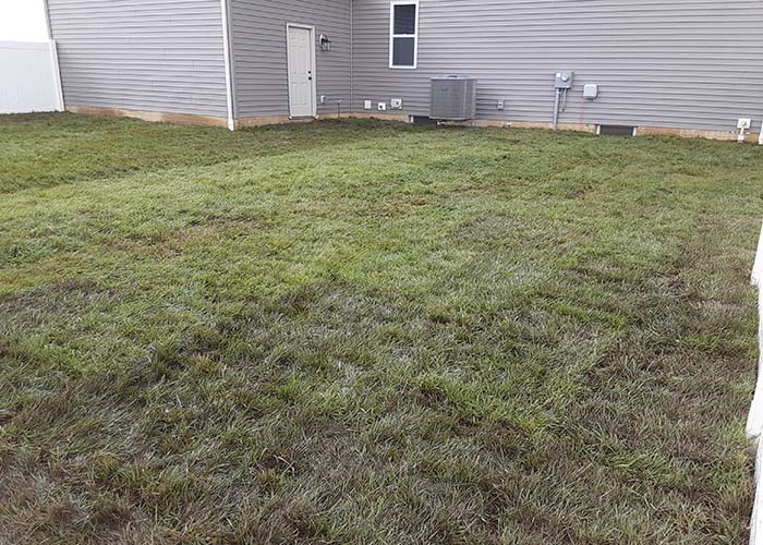 sodinstallationinpataskalaohio_140713 Wilson's Landscaping Services