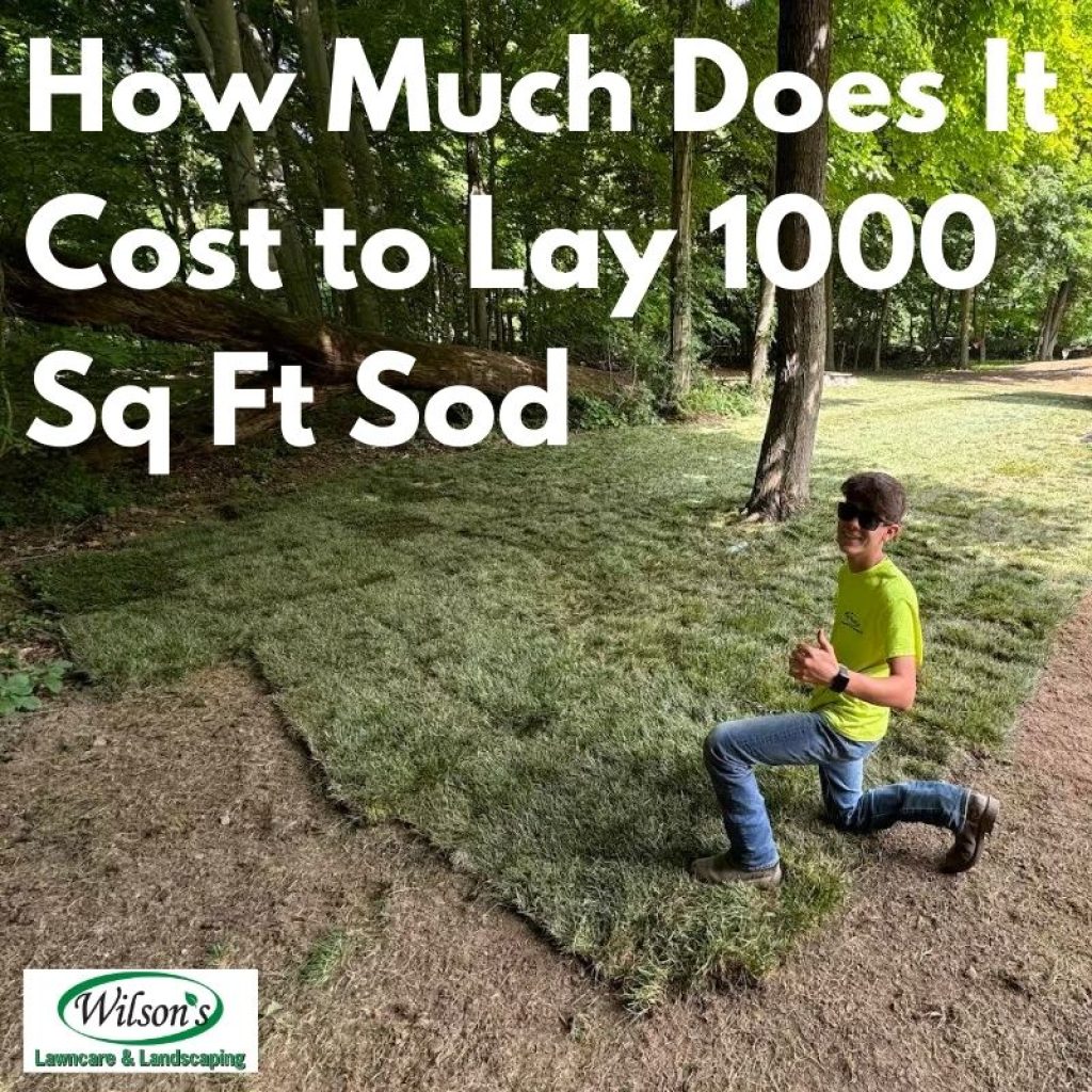 Breaking down the costs to lay 1000 sq ft of sod, from type of grass to labor rates and maintenance - discover the factors shaping your investment.