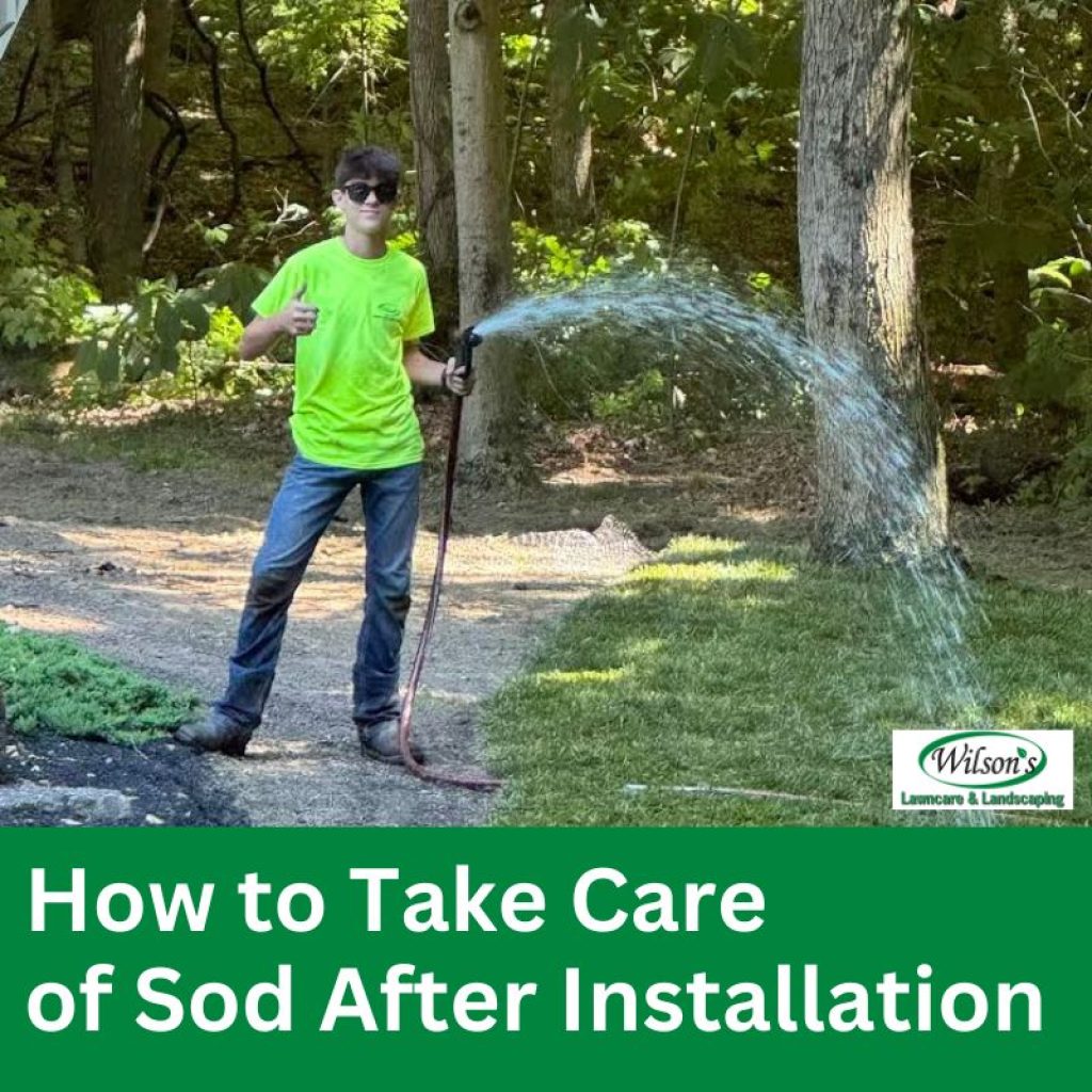 Discover the essential steps to maintain your newly installed sod, and keep reading to learn what you should do after the first mow.
